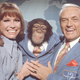 Illustration for article titled Behind the glass teat: 14 worthwhile television shows about television